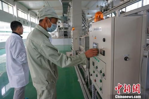 湖北三峽茶谷產(chǎn)業(yè)園重點(diǎn)項(xiàng)目集中開工