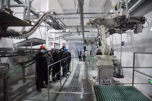 恩平市新肉聯(lián)廠今日凌晨正式試投產(chǎn)