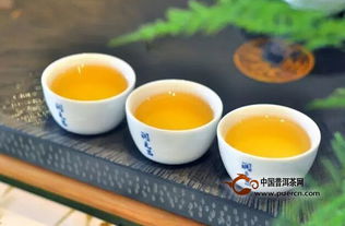 潤元昌201烏金號(hào),標(biāo)桿精品大樹茶