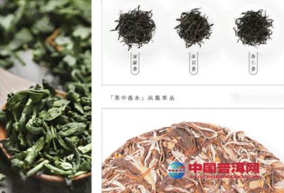 朝仙茶業(yè)精選普洱茶葉原料供應商聯系方式