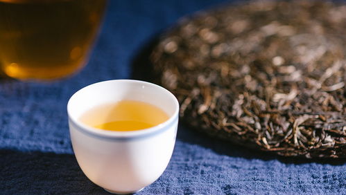 云南古樹普洱茶純正茶葉,生茶與熟茶價格實,批發(fā)購買請聯系