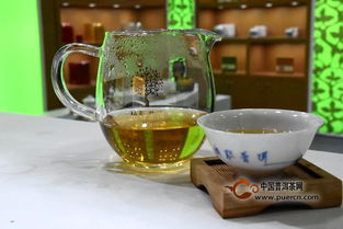 第十五屆中國(guó)普洱茶節(jié)開幕,各茶企齊聚普洱