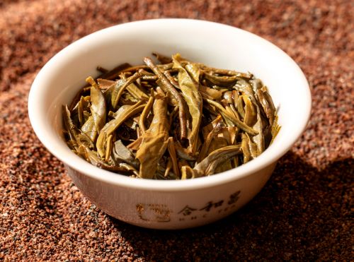 白云山五一上演廣州有史以來最大茶會 合和昌攜臻品好茶亮相