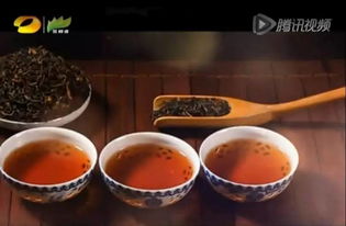 潤元昌柑普茶 湖南廣電茶頻道傾情推薦，品味地道茶香