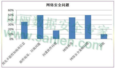 網絡信息安全全面剖析 以核心防護應對多樣威脅，構建安全軟件開發新范式